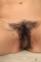 ATK hairy Canella Set