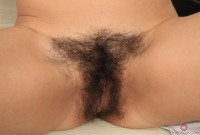 ATK hairy Canella in young and hairy