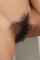 ATK hairy Canella in young and hairy