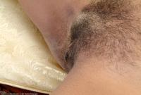 ATK hairy  in exotic and hairy