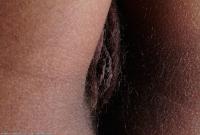 ATK hairy  in exotic and hairy