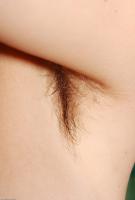 ATK hairy  in mature and hairy