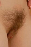 ATK hairy Carol Set