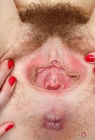 ATK hairy Cassidy Bliss Set