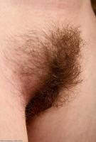 ATK hairy Cathy Set