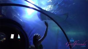 ATK Aunt Judys  in Virtual vacation