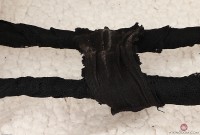 ATK hairy Cece Lachey Set