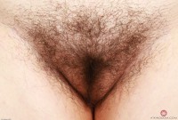 ATK hairy Cece Lachey Set