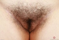 ATK hairy Cece Lachey Set