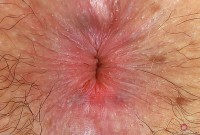 ATK hairy Cece Lachey in young and hairy