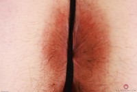 ATK hairy Cece Lachey Set
