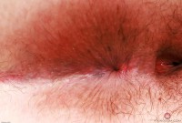 ATK hairy Cece Lachey in young and hairy