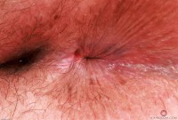 ATK hairy Cece Lachey in young and hairy