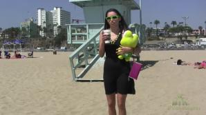 ATK Aunt Judys  in amateur travelogue