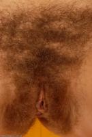 ATK hairy Celine Set