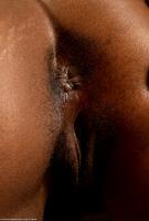 ATK hairy Chantel Set