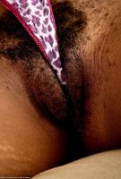 ATK hairy Chantel Set
