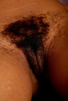 ATK hairy Chantel Set