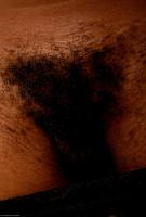 ATK hairy Chantel in exotic and hairy