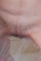 ATK hairy Cherry Despina Set