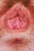 ATK hairy Chloe Foster Set