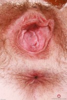 ATK hairy Chloe Foster Set