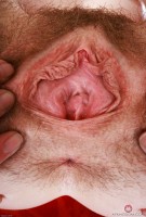 ATK hairy Chloe Foster in mature and hairy