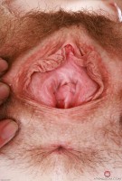 ATK hairy Chloe Foster Set