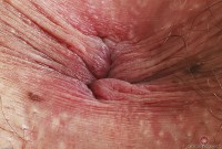 ATK hairy Chloe Kreams Set