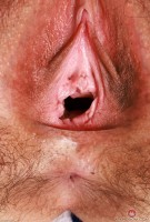 ATK hairy Chloe Kreams Set