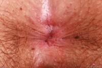 ATK hairy Chloe Kreams Set