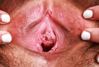 ATK hairy Chloe Kreams Set