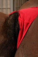 ATK hairy Chocolate Set