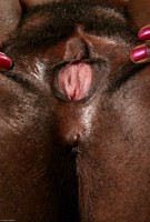 ATK hairy Chocolate Set