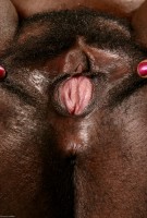 ATK hairy Chocolate Set