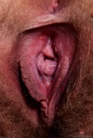 ATK hairy Claire Daze in young and hairy