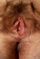 ATK hairy Cori Set