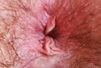ATK hairy Annabelle Lee in mature and hairy