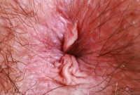 ATK hairy Annabelle Lee Set