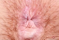 ATK hairy Annabelle Lee Set