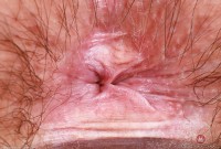 ATK hairy Annabelle Lee Set