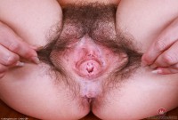 ATK hairy Annabelle Lee Set