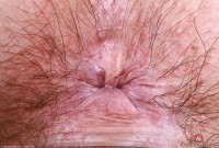 ATK hairy Annabelle Lee Set