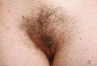 ATK hairy Cyan Set