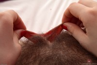 ATK hairy Cynthia Set