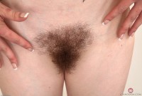 ATK hairy Daisy Set
