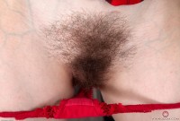 ATK hairy Daisy in young and hairy