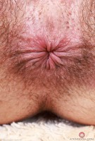 ATK hairy Dakota Marr Set