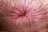 ATK hairy Dakota Marr Set