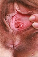 ATK hairy Dakota Marr Set